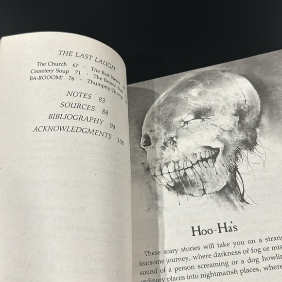 More Scary Stories to Tell in the Dark - Scholastic Paperback Book - Picture 7 of 8